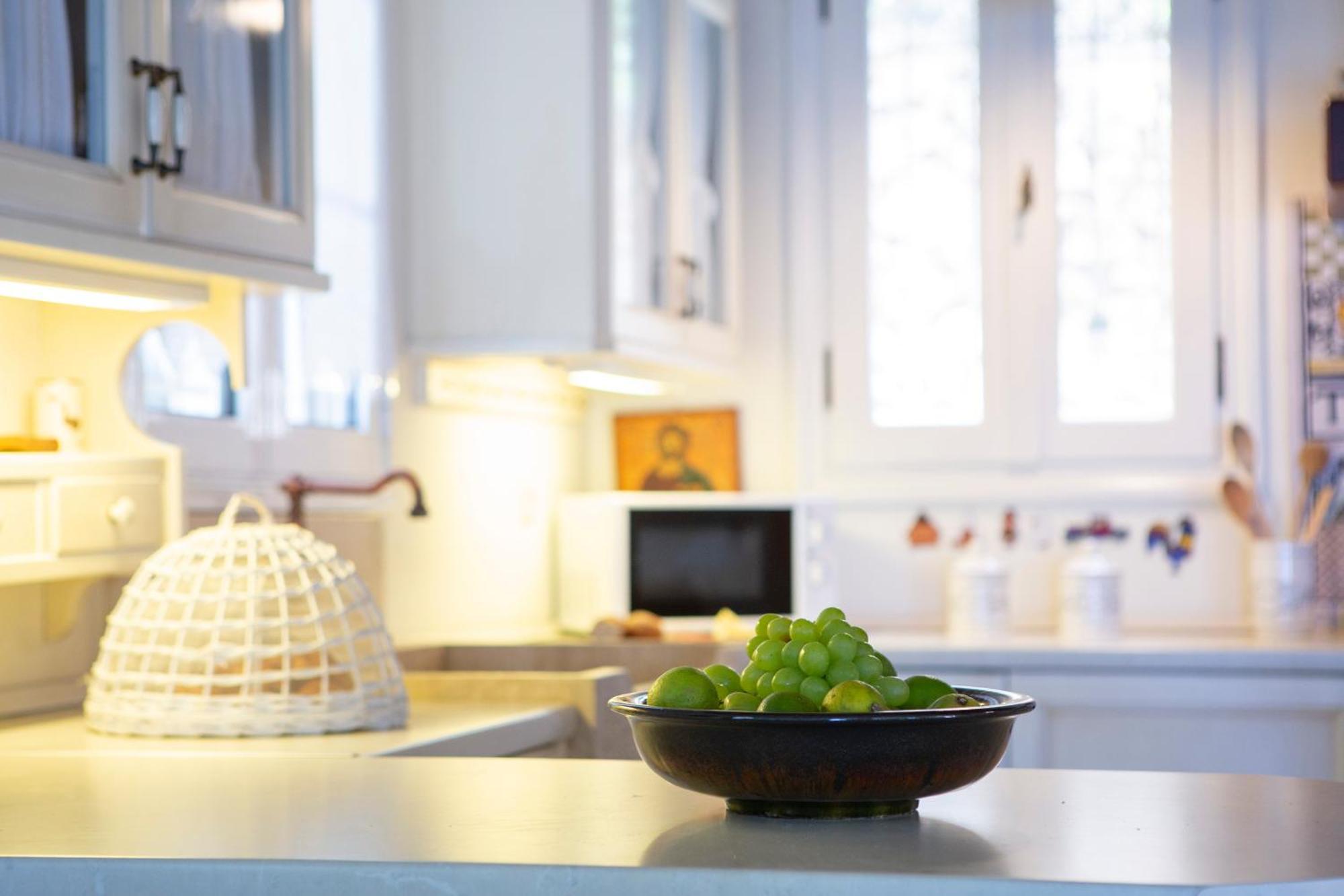 Boutique Villa Andronice Tsoukaládhes 외부 사진